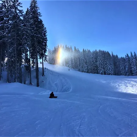 Alpenzeit Готель типу 