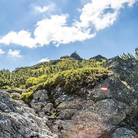 Oda ve Kahvaltı Alpenzeit Flachau